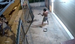 'Cẩu tặc' chĩa súng điện đe dọa, chủ nhà bất lực nhìn 2 chú chó ra đi